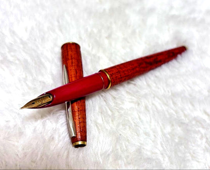 Pilot Fountain Pen with 18K 750 gold nib shown in close-up on white background