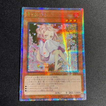 Yu-Gi-Oh Ash Blossom & Joyous Spring — Japanese