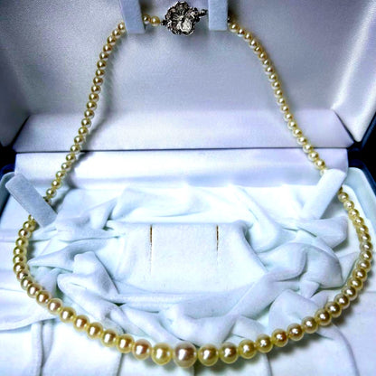 Akoya pearl necklace featuring gradation pearls sized 7.6 to 3.4 mm, 45 cm (17.7 in) length