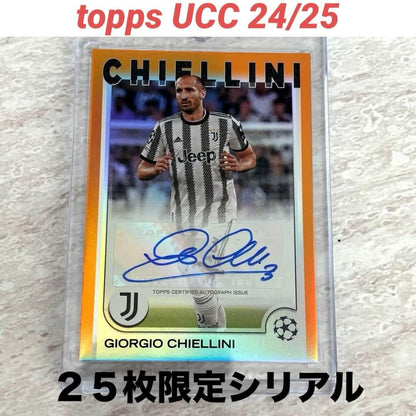 Chiellini Auto — 24/25 — Japanese