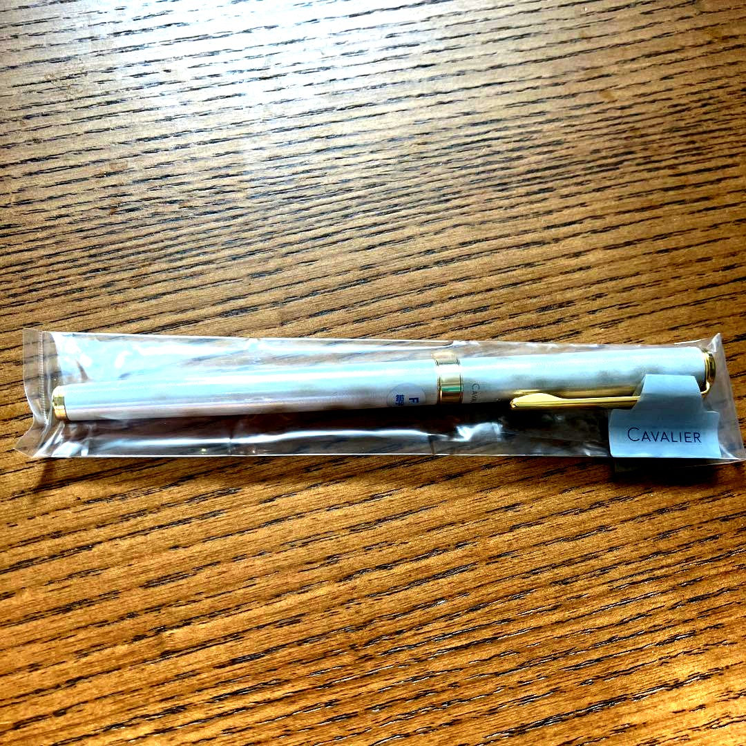 Pilot Fountain Pen Cavalieri with fine point in gold and white color, model FCAN-5SR-GDWF, new unused condition