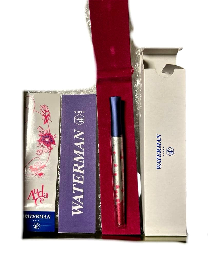 Waterman W262213 Hémisphère Fountain Pen with silver and blue flower pattern and stainless steel tip