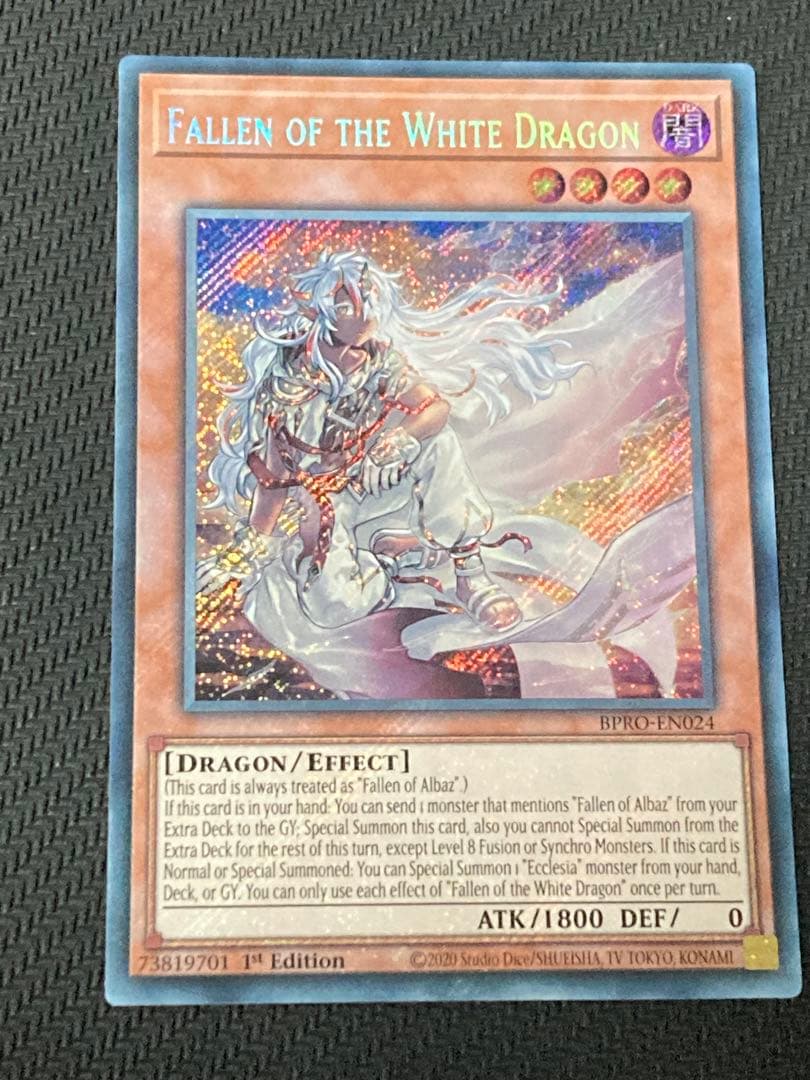 Yu-Gi-Oh The White Dragon's Son — English