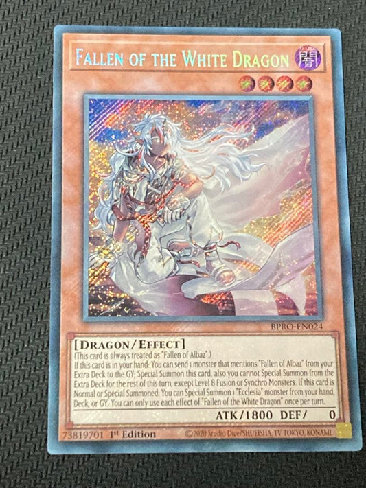 Yu-Gi-Oh The White Dragon's Son — English