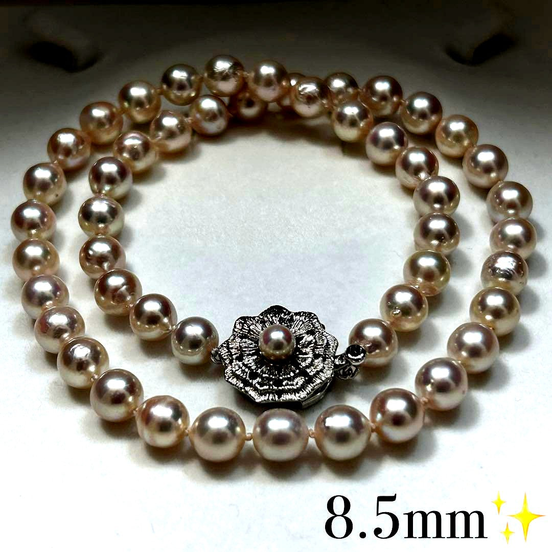 Large Akoya Pearl Necklace with 8.5mm pearls, 49cm length, on sterling silver chain