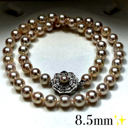 Large Akoya Pearl Necklace with 8.5mm pearls, 49cm length, on sterling silver chain