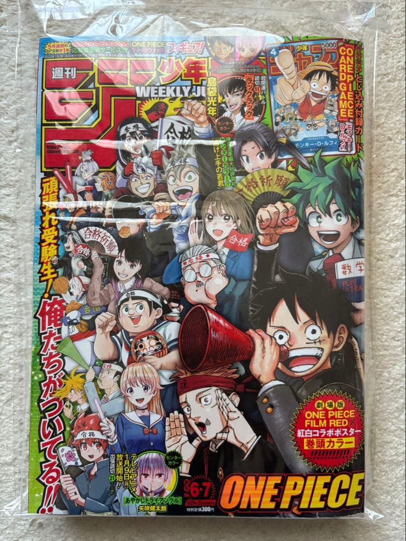 One Piece Luffy L — Japanese