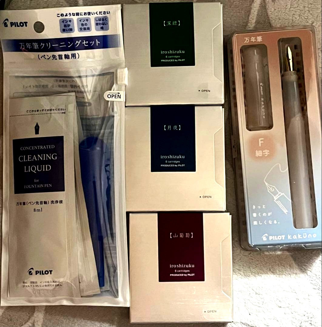 Pilot Kakuno fountain pen cleaning cartridge set with fine nib and dark green, moonlight, grape ink cartridges plus cleaning tools