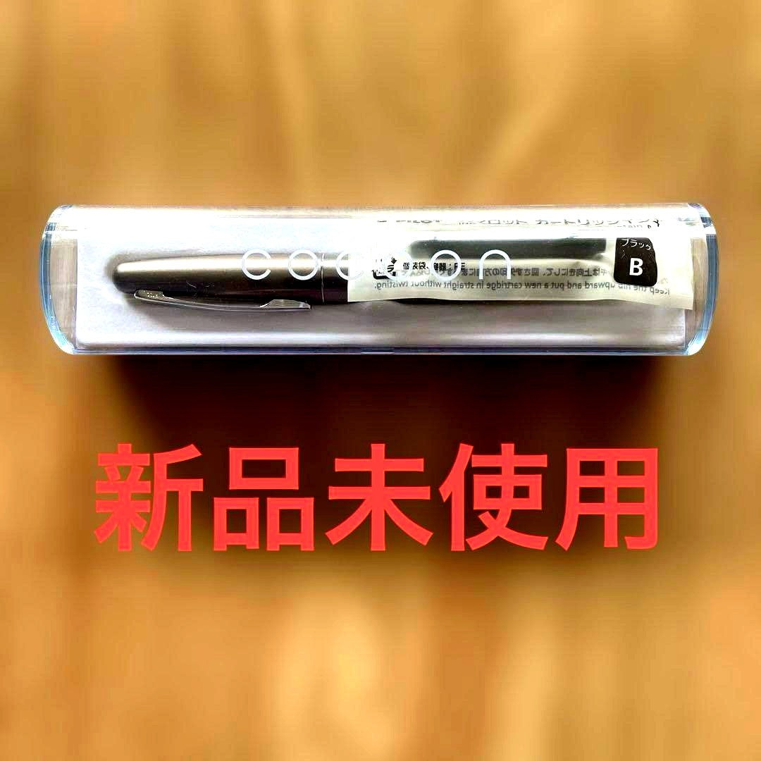 PILOT COCOON Titanium F FCO-3SR-TIF fountain pen with fine nib and sleek silver titanium body