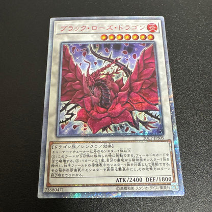 Yu-Gi-Oh Dark Paladin Dragon — Japanese