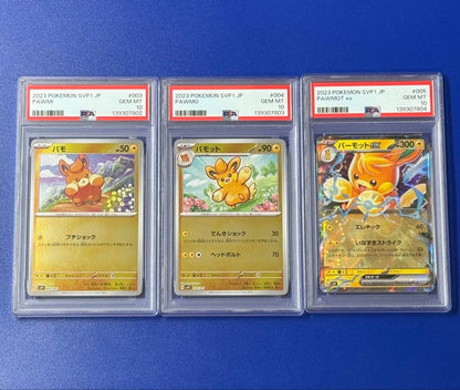 PSA 10 Pokemon Pawmot ex — Japanese
