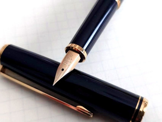 Discontinued Pilot Premio Remembrance Fountain Pen with 14K fine nib, cleaned and in excellent condition