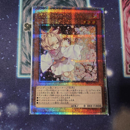 Yu-Gi-Oh Ash Blossom & Joyous Spring — Japanese