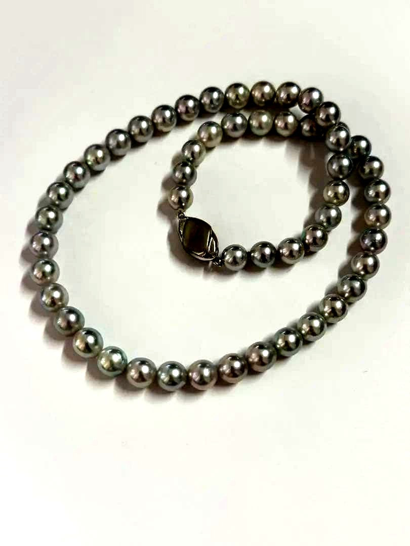 Akoya pearl necklace with blue tone pearls sized 7.5-8.0mm and silver clasp with certification