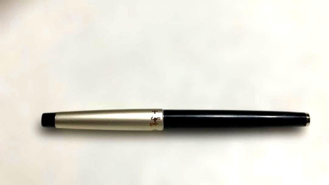 Pilot fountain pen with 14K gold tip and cartridge cartridge system on a white background