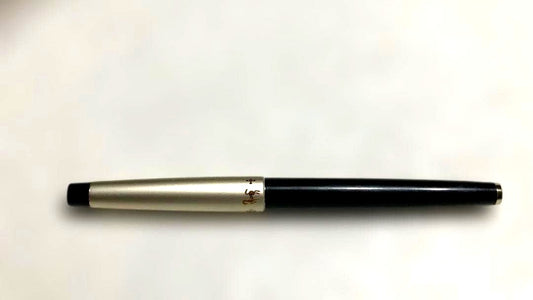 Pilot fountain pen with 14K gold tip and cartridge cartridge system on a white background