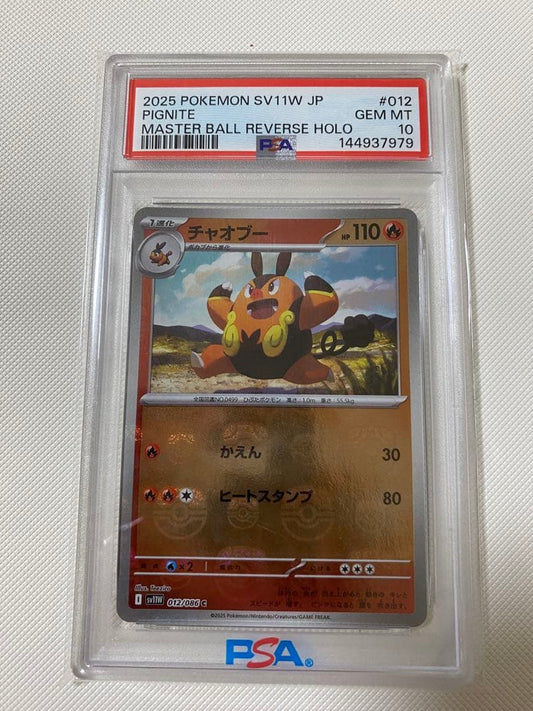 PSA 10 Pokemon Pignite — Japanese