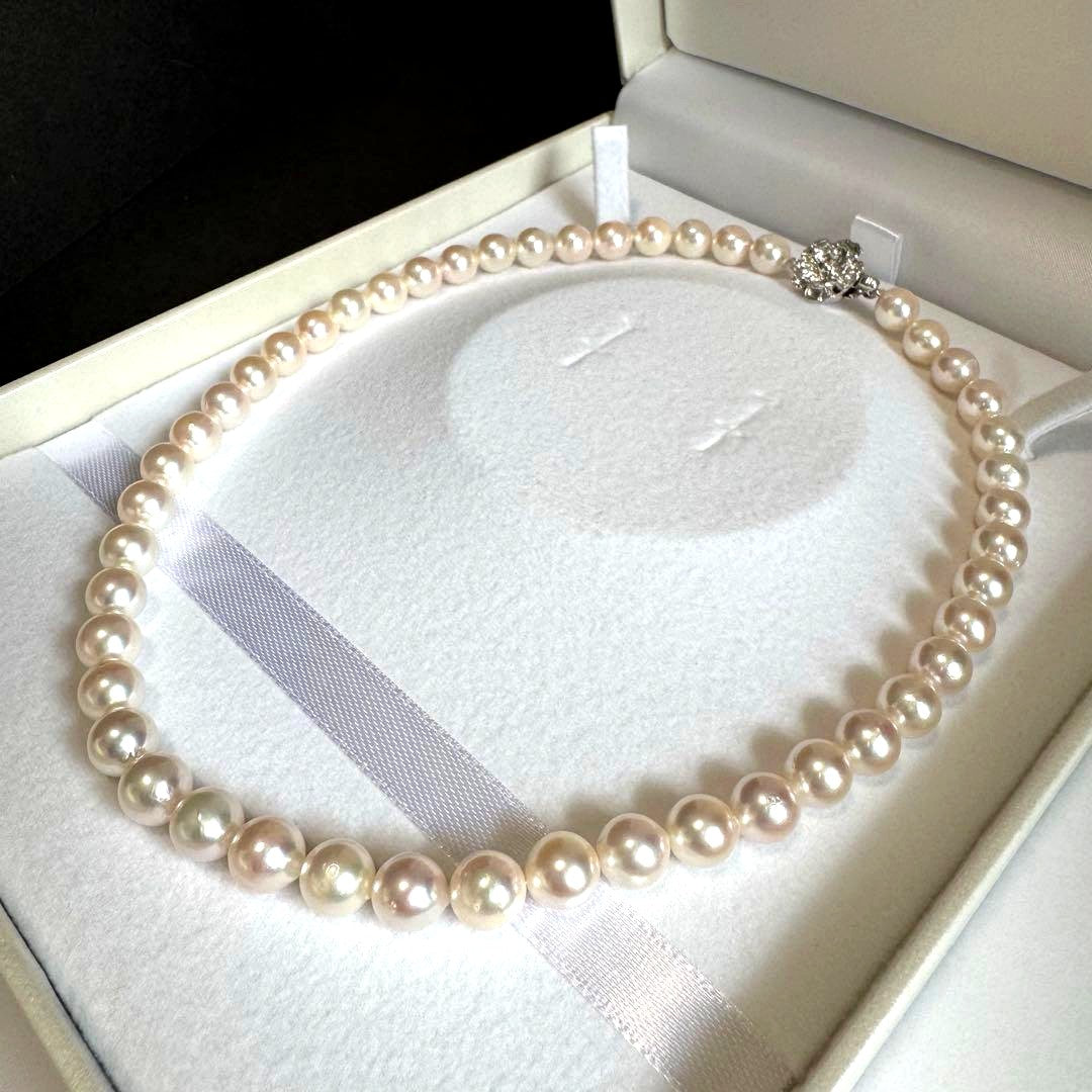 Akoya pearl necklace with white to pink pearls and silver metal fittings displayed on white background