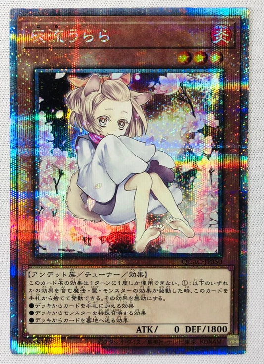 Yu-Gi-Oh Ash Blossom & Joyous Spring — Japanese