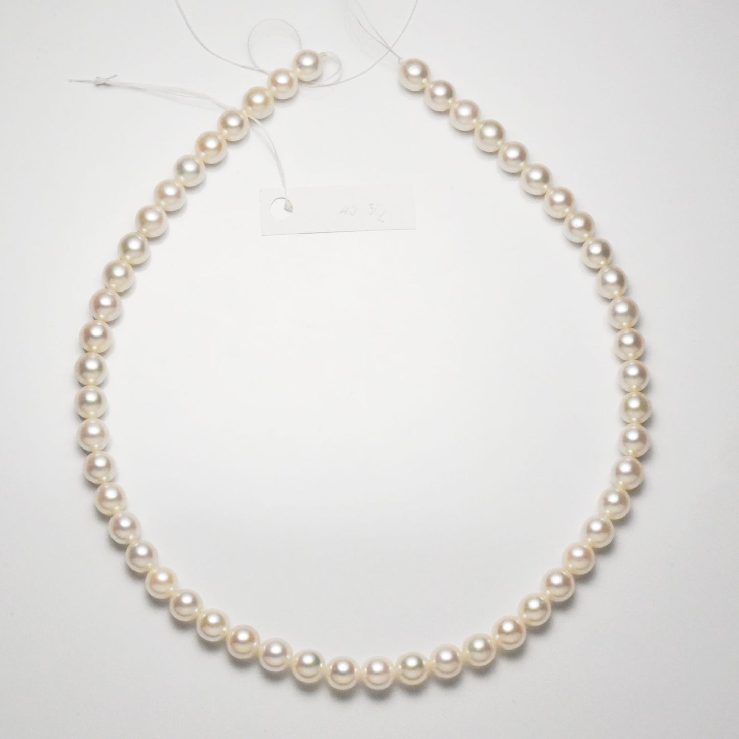 Akoya pearl necklace with 7.5-8mm pearls measuring 42cm in length on a white background