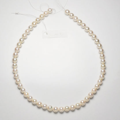 Akoya pearl necklace with 7.5-8mm pearls measuring 42cm in length on a white background